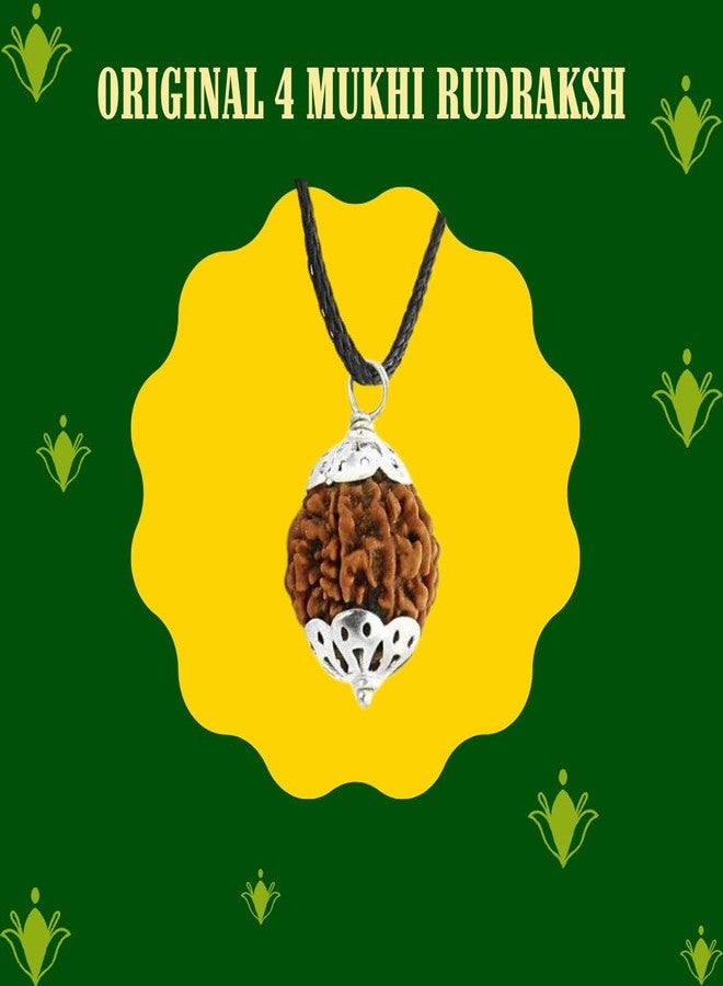 PICCOTI Original 4 Mukhi Nepali Rudraksha Locket | Rudraksha Pendant with Silver Plated Caps for Lord Shiva Blessings | 4 mukhi/faces - Image 5