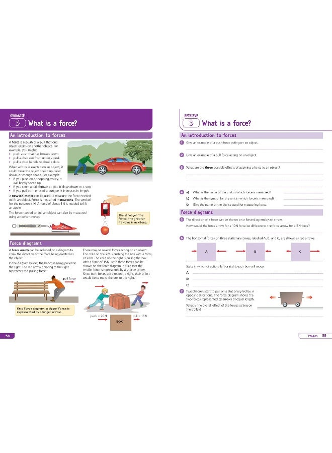 KS3 Science Year 7: Organise and retrieve your knowledge: Ideal for Year 7 (Collins KS3 Revision) - Image 5