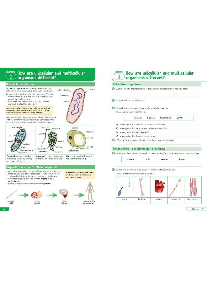 KS3 Science Year 7: Organise and retrieve your knowledge: Ideal for Year 7 (Collins KS3 Revision) - Image 3