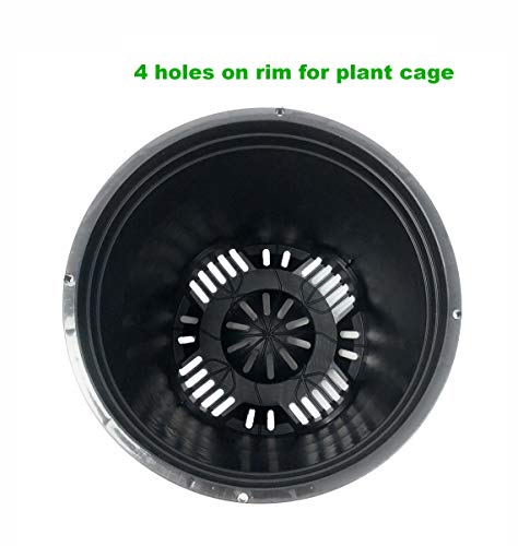 Cotta Planters 3 Gallon Nursery Pot Plastic Planters for Outdoor Indoor Plants Gardening 6-Pack Flower Pots Plant Pots with Drainage Holes - Image 5