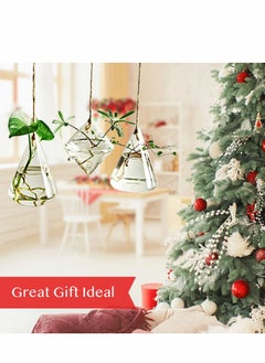 Excefore Glass Hanging Planters, 3 Pcs Indoor Outdoor Terrarium Container Plant Pots Water Containers Flower for Hydroponic Plants Home Garden Décor  - Image 2