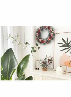 Excefore Glass Hanging Planters, 3 Pcs Indoor Outdoor Terrarium Container Plant Pots Water Containers Flower for Hydroponic Plants Home Garden Décor  - Image 3