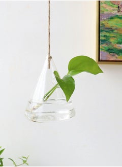 Excefore Glass Hanging Planters, 3 Pcs Indoor Outdoor Terrarium Container Plant Pots Water Containers Flower for Hydroponic Plants Home Garden Décor  - Image 4