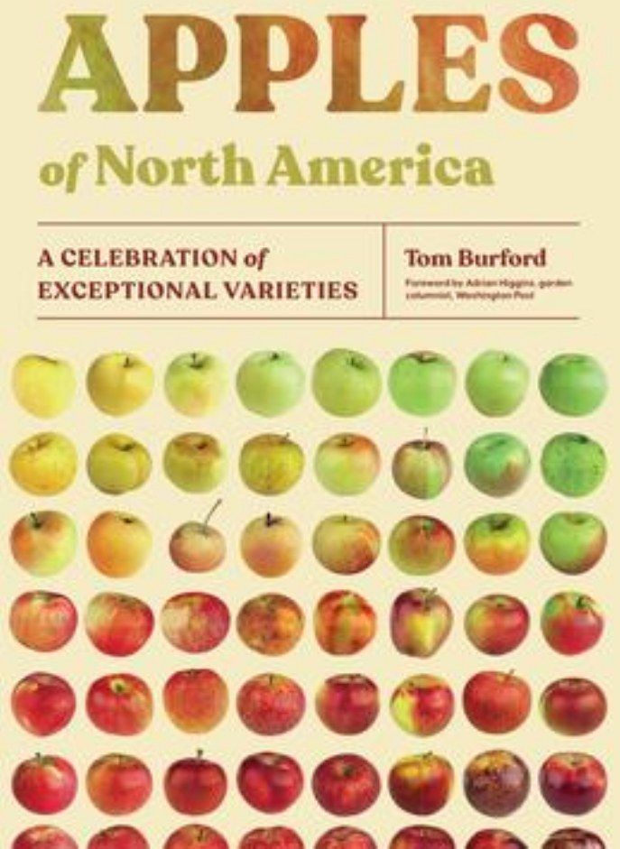 Apples of North America  A Celebration of Exceptional Varieties Burford Tom 