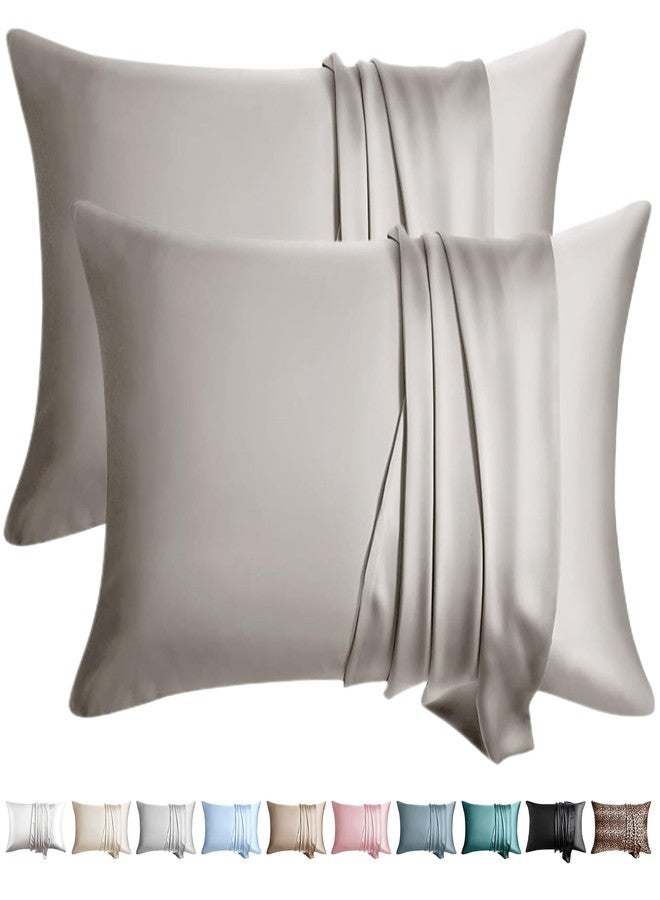 WLOSJ 100% Silk Pillow Cases 2 Pack Queen Size Mulberry Silk Pillowcase for Hair and Skin Set of 2 Highest Grade 6A Silk Soft Breathable Cooling with Hidden Zipper, Grey - Image 1