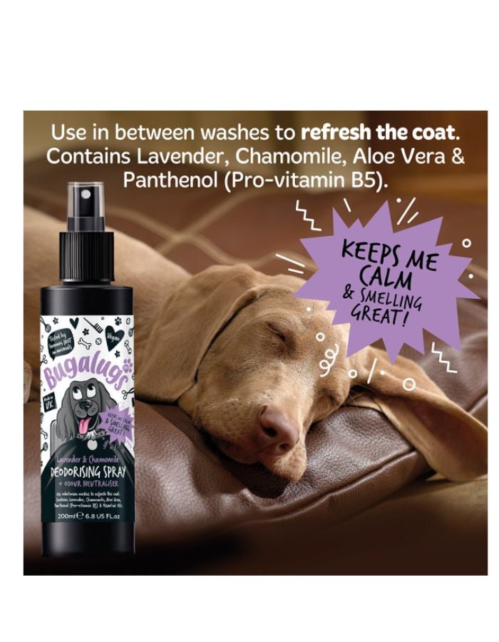 Bugalugs Lavender & Chamomile Dog Deodorising Spray 200ml – Soothes Skin & Freshens Coat - Image 2