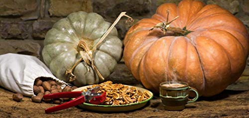 Texan Nut Sheller قشارة المكسرات تكساس يورك - مكسر مكسرات واحد، فولاذ مقسى، عبوة من 1 - Image 4