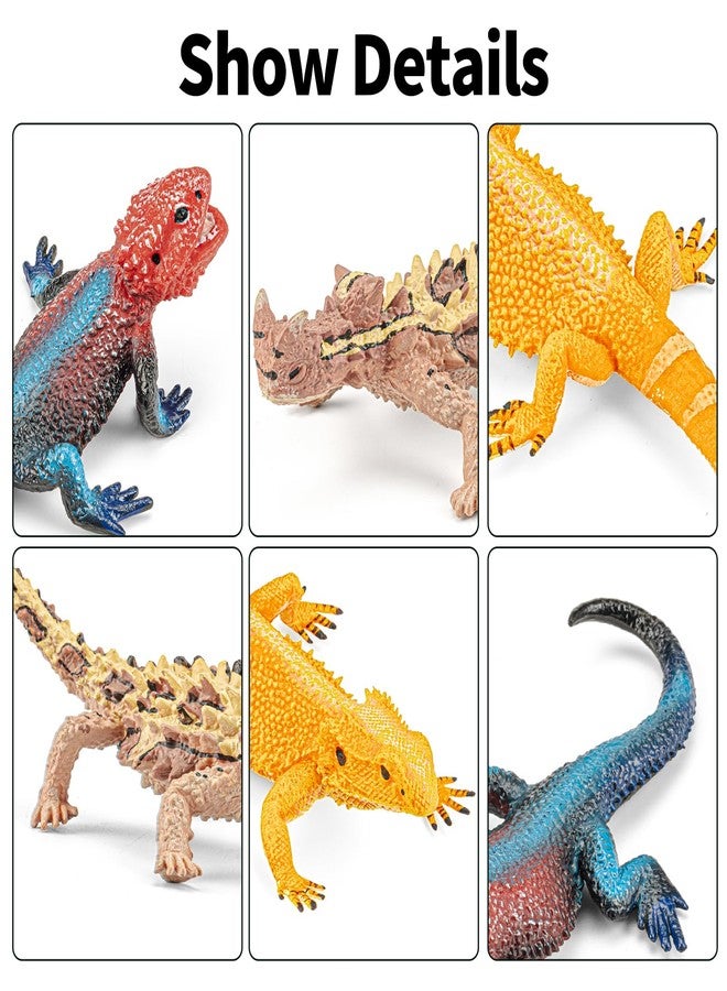 THINKBAY 6PCS Large Lizard Figurines Animal Toys, Realistic Plastic Reptile Animal Figures, Includes Bearded Dragon,Green Iguana,Frilled,Coast Horned,Plains Rock Figures, Educational Toy for Kids - Image 4