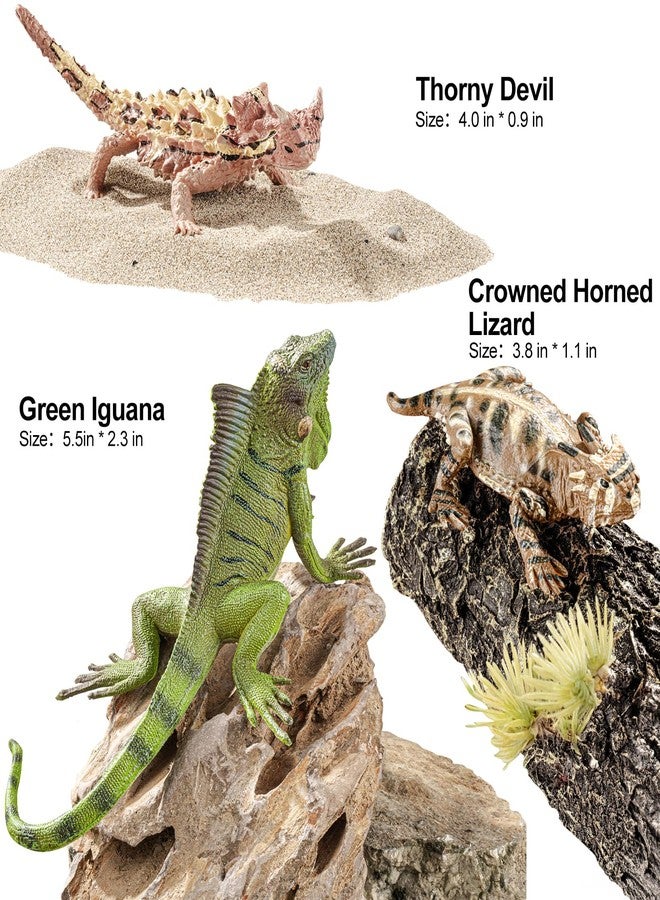 THINKBAY 6PCS Large Lizard Figurines Animal Toys, Realistic Plastic Reptile Animal Figures, Includes Bearded Dragon,Green Iguana,Frilled,Coast Horned,Plains Rock Figures, Educational Toy for Kids - Image 3