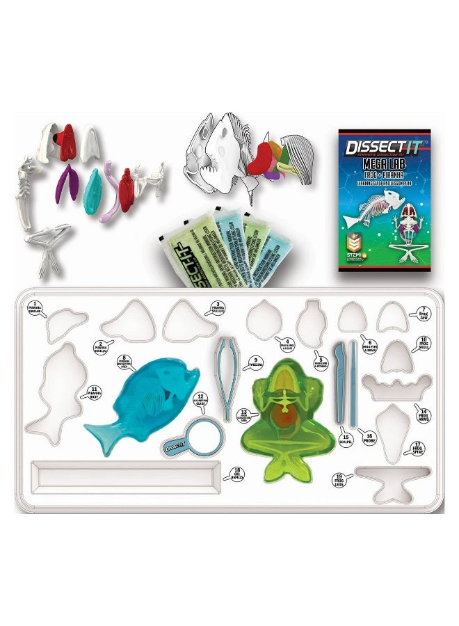 Slimy Lab Dissect-It Frog & Piranha Mega Lab Synthetic Dissection Kit (30 Pieces) - Image 2
