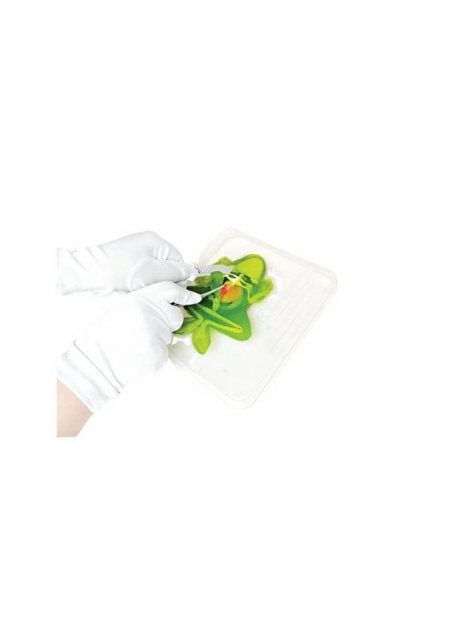 Slimy Lab Dissect-It Frog & Piranha Mega Lab Synthetic Dissection Kit (30 Pieces) - Image 3