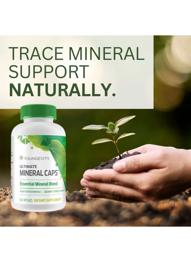 يونغيفيتي كبسولات Youngevity Ultimate Mineral Caps™ - أكثر من 70 معدنًا أساسيًا من مجموعة كاملة من المعادن النادرة - غنية بالعناصر الغذائية، مشتقة من الأعشاب البحرية الدبالية والأكوامين (64 كبسولة)  - Image 3
