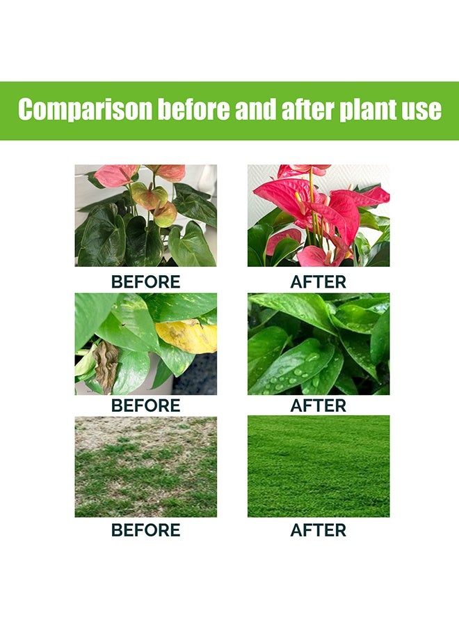 مونسبري محلول المغذيات النباتية 100 مل - سماد سائل طبيعي ونباتي - أسمدة نباتية نباتية ، محلول مغذي - محسن نمو النبات لجميع نباتات الأوراق التربة والنباتات والزراعة المائية والعناية بالحدائق - Image 5