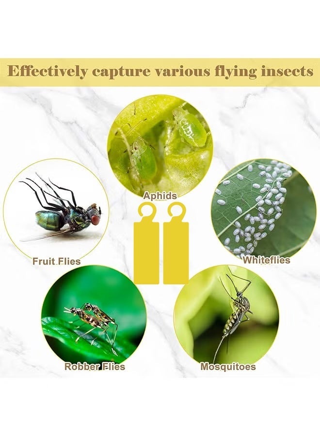 40 Pack Yellow Sticky Hanging Traps Dual Sided Fungus Gnat Traps for House Indoor Plants Gnat Killer Whiteflies Aphids Leaf Miners Fruit Flying Insect Catcher Glue Traps - Image 4