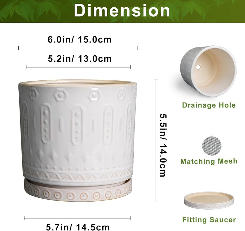 Eightpot 6 Inch Ceramic Planter Pot Plant Pot with Drainage Hole and Saucer, Round Large Flower Pot for Indoor Plants Outdoor Garden Planter Pot, Off White - Image 2