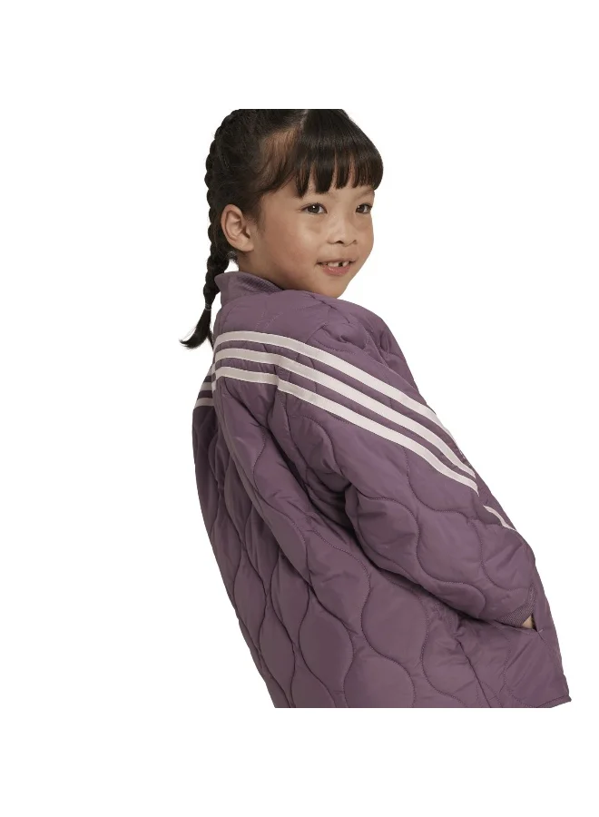 Adidas Lg Dy Md Jkt Purple Training Jackets 1824