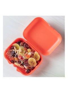 Tupperware Tupperware Eco+ Mini Box - Orange  - Image 1