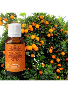 Orange Essential Oil (Sweet) For Aroma Hair Growth & Radiant Skin (15Ml + 15Ml) Pack Of 2 - pzsku/Z4BABEE37C2503A2A9C0EZ/45/_/1720000296/cca8c5bc-5e6c-414a-86c5-3fab2ac707d2