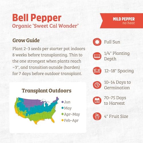 Back to the Roots 100% Organic Seed Packet Bell Pepper 'Sweet Cal Wonder' - Image 3