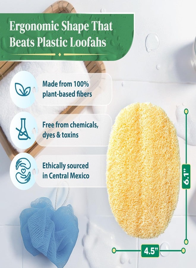 LooLife Natural Loofah Exfoliating Body Scrubber (8 Pack - Organic Loofah for Body - Biodegradable Shower Luffa - Natural Bath Sponges Loufa - Estropajos para el Cuerpo - Image 2