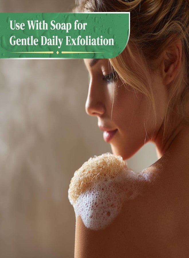 LooLife Natural Loofah Exfoliating Body Scrubber (8 Pack - Organic Loofah for Body - Biodegradable Shower Luffa - Natural Bath Sponges Loufa - Estropajos para el Cuerpo - Image 5