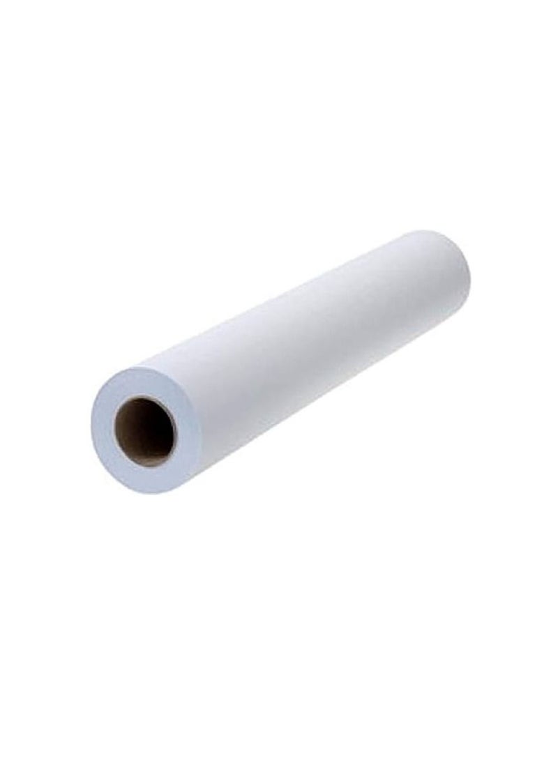 TERABYTE PLOTTER PAPER ROLL 841MM X 100YRD
