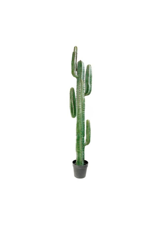 HRT WALL Cactus Cereus big 161cm (with red needles) - green 