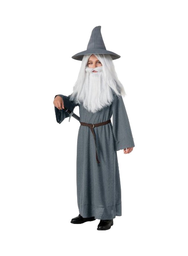 Rubies The Hobbit Gandalf The Grey Child Costume - Image 1