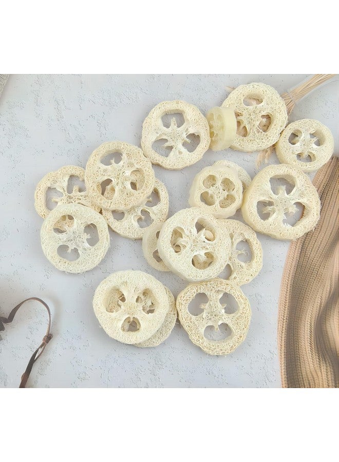 ENLAYER 25Pcs Natural Loofah Slices, Reusable Natural Loofah Cuts For Cleaner Sponge Scrubber, Facial Soap Holder And Diy Customize Soap Tools With 1 Storage Bag (Diameter 2In, Thick 1In) - Image 5