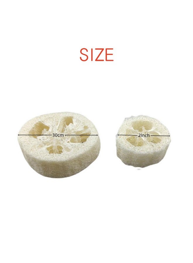 ENLAYER 25Pcs Natural Loofah Slices, Reusable Natural Loofah Cuts For Cleaner Sponge Scrubber, Facial Soap Holder And Diy Customize Soap Tools With 1 Storage Bag (Diameter 2In, Thick 1In) - Image 2
