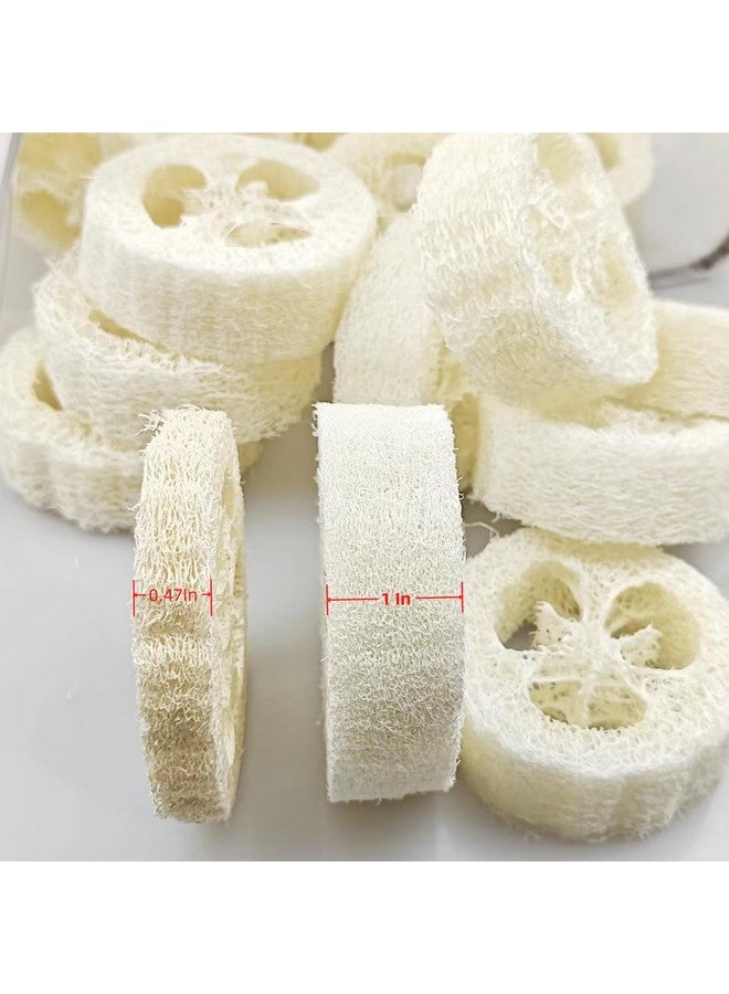 ENLAYER 25Pcs Natural Loofah Slices, Reusable Natural Loofah Cuts For Cleaner Sponge Scrubber, Facial Soap Holder And Diy Customize Soap Tools With 1 Storage Bag (Diameter 2In, Thick 1In) - Image 3