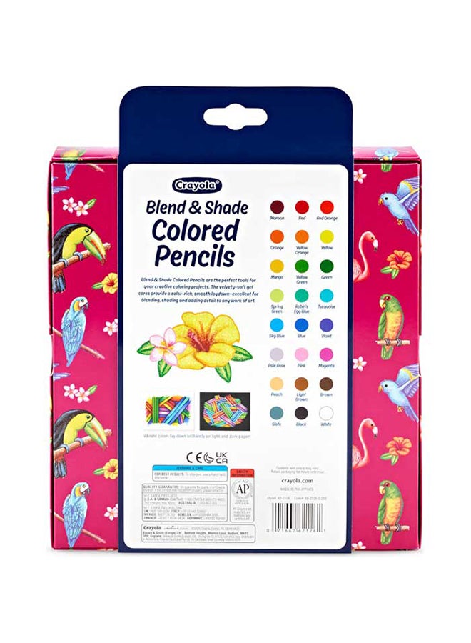 Crayola 24 Count Blend & Shade Colored Pencils – Soft Gel Cores for Smooth Blending & Vibrant Colors | Non-Toxic Art Supplies for Kids & Artists, Creative Gift Set - Image 2