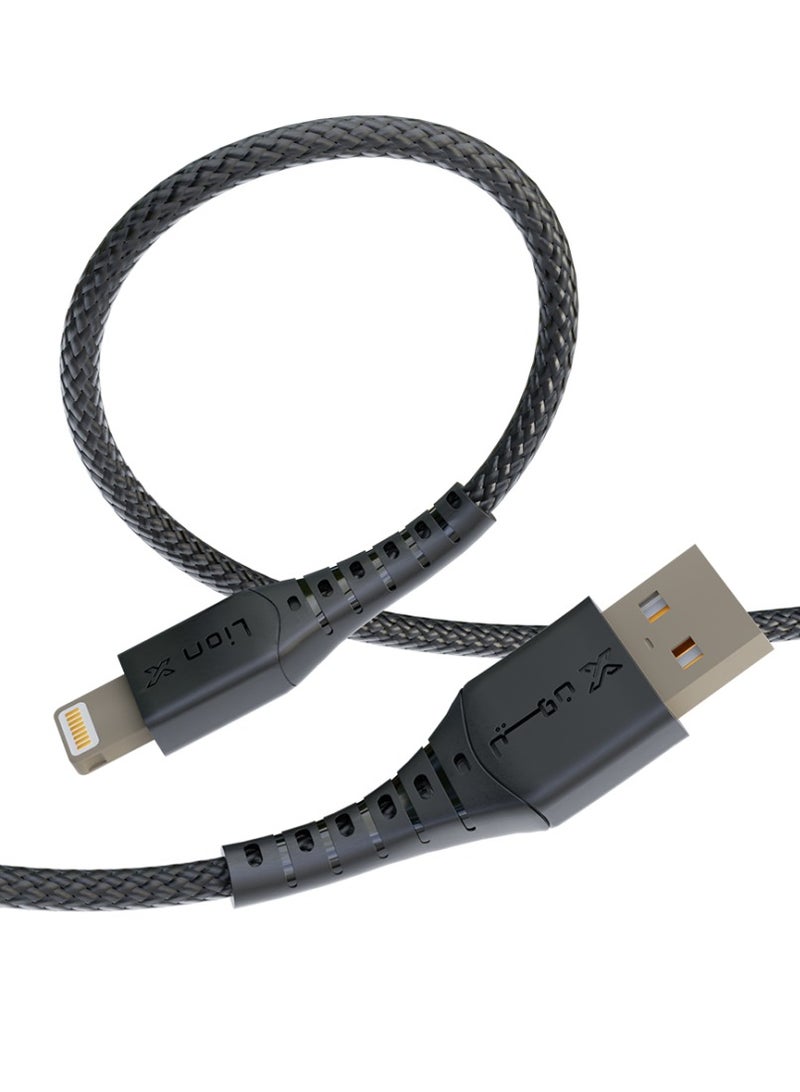Lionx IPhone Charging Cable Fabric Supports Fast Charging Lion X - Image 3