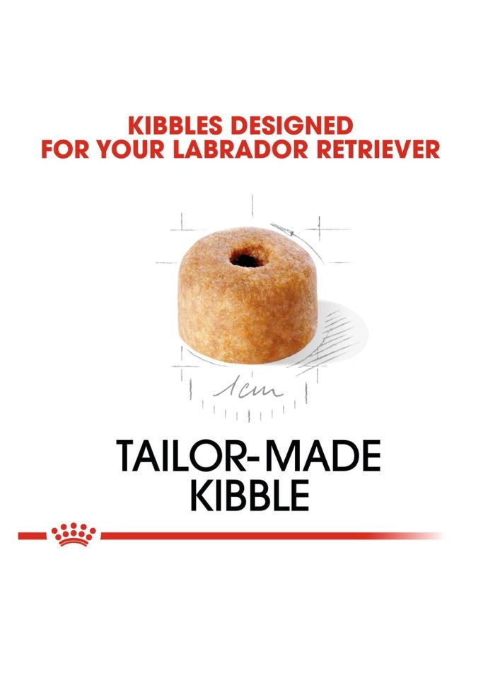 ROYAL CANIN Breed Health Nutrition Labrador Puppy 12 KG - Image 2