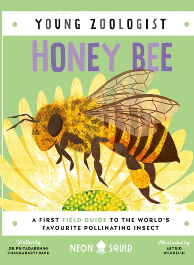 Honey Bee (Young Zoologist) : A First Field Guide to the World's Favourite Pollinating Insect 