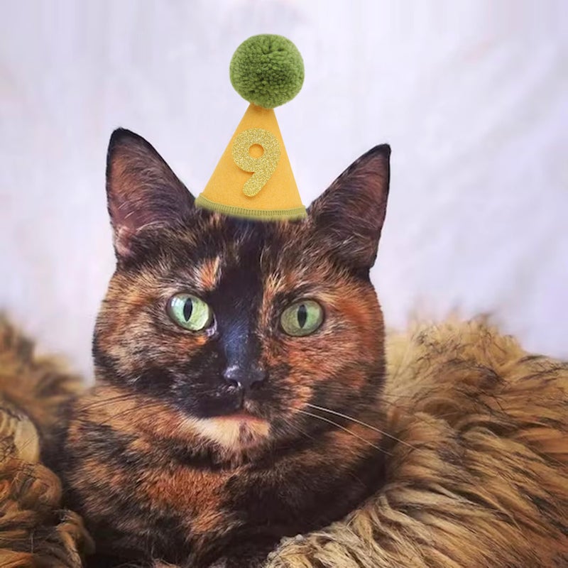 LINGANA Pet Birthday Hat with Interchangeable Numbers 1-10 | Adjustable Pet Party Cone Hat for Dogs & Cats | Puppy Birthday Photo Props for 1st to 10th Birthday Celebrations (Yellow Green Birthday Pet Hat) - Image 2