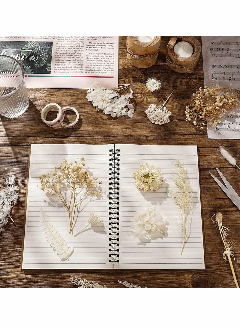 2 Pack of Real White Dried Flowers for Resin Jewelry - Pressed Leaves with Tweezers for DIY Crafts, Nail Art, Candle Making, Phone Cases & Jewelry Decoration - Image 5