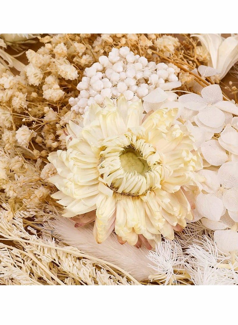 2 Pack of Real White Dried Flowers for Resin Jewelry - Pressed Leaves with Tweezers for DIY Crafts, Nail Art, Candle Making, Phone Cases & Jewelry Decoration - Image 4