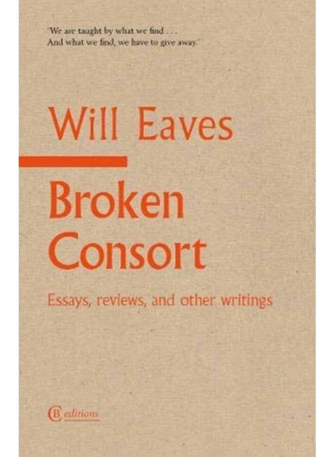 Broken Consort Essays reviews and other writings - Paperback