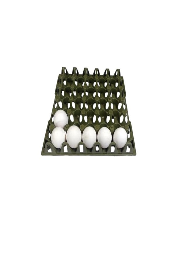 Plastic Egg Trays For Storage With 30 Eggs Holder, Egg Carry For Incubator, Poultry Egg Tray(Pack of 1 Pc), Olive Green - Image 1