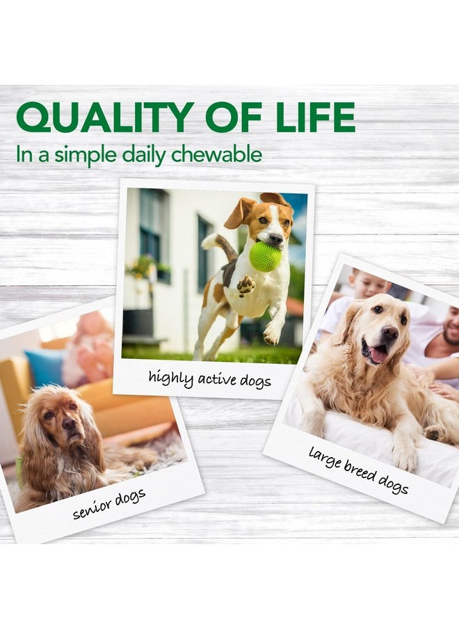 Vet's Best Vet's Best Advanced Hip & Joint Dog Supplements | Formulated with Glucosamine and Chondroitin to Support Dog Joint and Cartilage Health (3165810242)  - Image 4