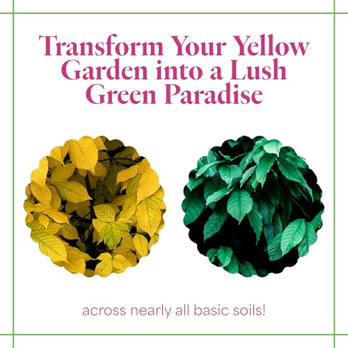 Grow More 0.2-0-0 EDDHA Iron Chelate for Greener Plants on Soils with pH of 7 or Above - 1lb of Water Soluble Chelated 6% Iron for Plants - Image 3