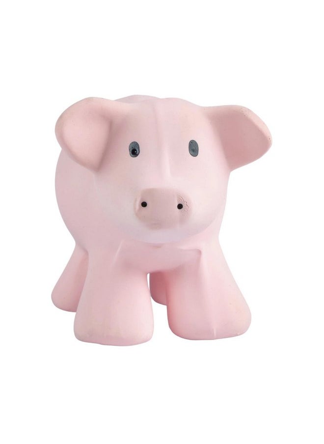 Tikiri My First Farm Animal Pig Natural Rubber Rattle (Pink) - pzsku/Z4BB67A7B607DC38E3DA0Z/45/_/1737032151/614faec9-fb43-41a8-87d5-9fce66863daa