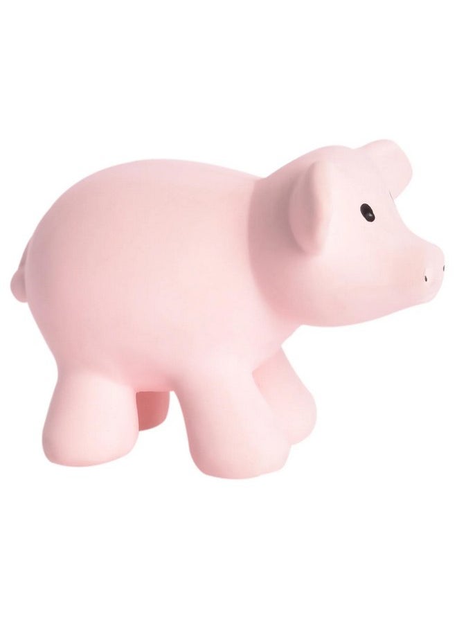 Tikiri My First Farm Animal Pig Natural Rubber Rattle (Pink) - pzsku/Z4BB67A7B607DC38E3DA0Z/45/_/1737032215/10fcdfdf-645f-48a8-9c18-b0fbc8b82de4