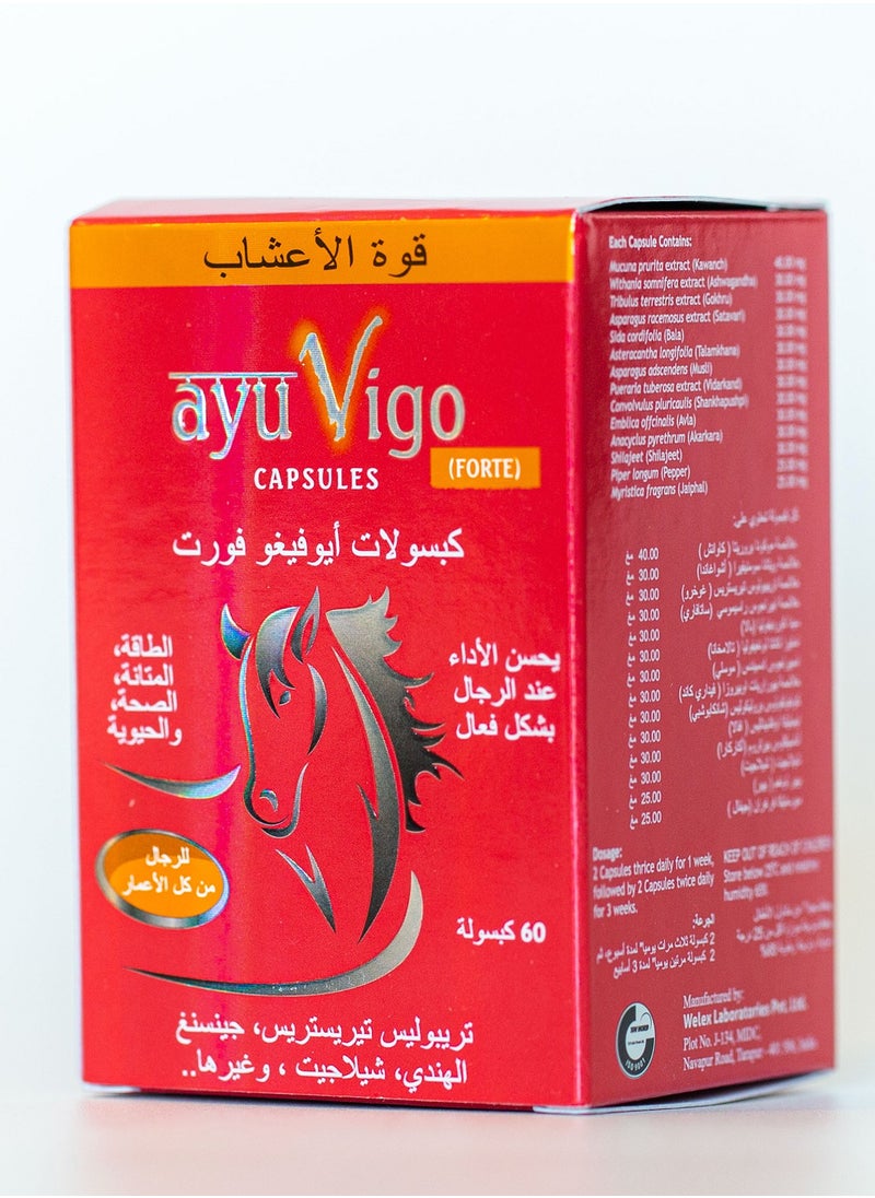 Ayurveda - Ayuvigo Forte Capsules 60 - Image 1