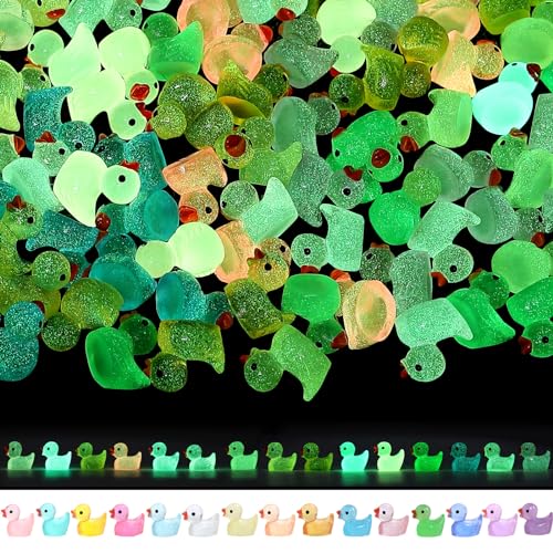 GliSun 225 Pieces Luminous Mini Resin Ducks Glow in The Dark Bulk Tiny Duck for Garden Micro Landscape Ornament Dollhouse Prank Christmas Birthday Party DIY Decoration Craft(15 Colors) - Image 5
