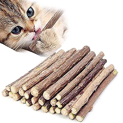 Ueerdand 10 PCS Catnip Sticks Organic Cat Chew Toys Natural Plant Matatabi Silvervine Chew Sticks Teeth Cleaning Chew Toy Kitten Kitty - Image 1