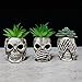 Simcat Succulent Pots with Drainage Mini Creative Skull Decor Resin Flower Pot 3 Cactus Planter Pots Succulent Plant - Image 2