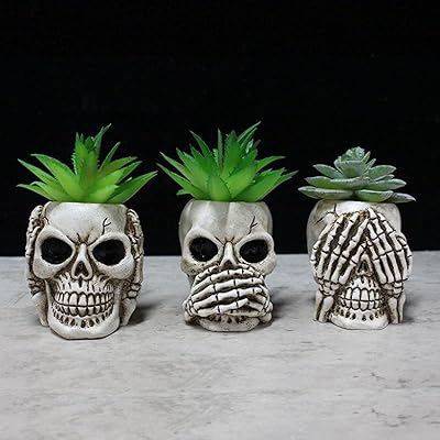 Simcat Succulent Pots with Drainage Mini Creative Skull Decor Resin Flower Pot 3 Cactus Planter Pots Succulent Plant - Image 1