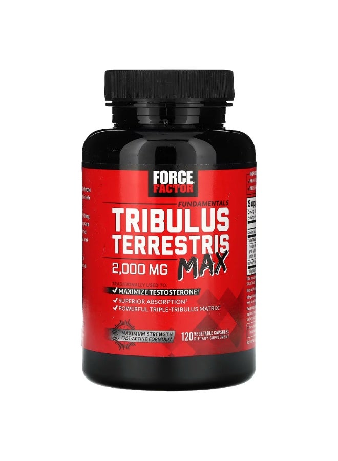 Force Factor Fundamentals Tribulus Terrestris Max 120 Vegetable Capsules - Image 3